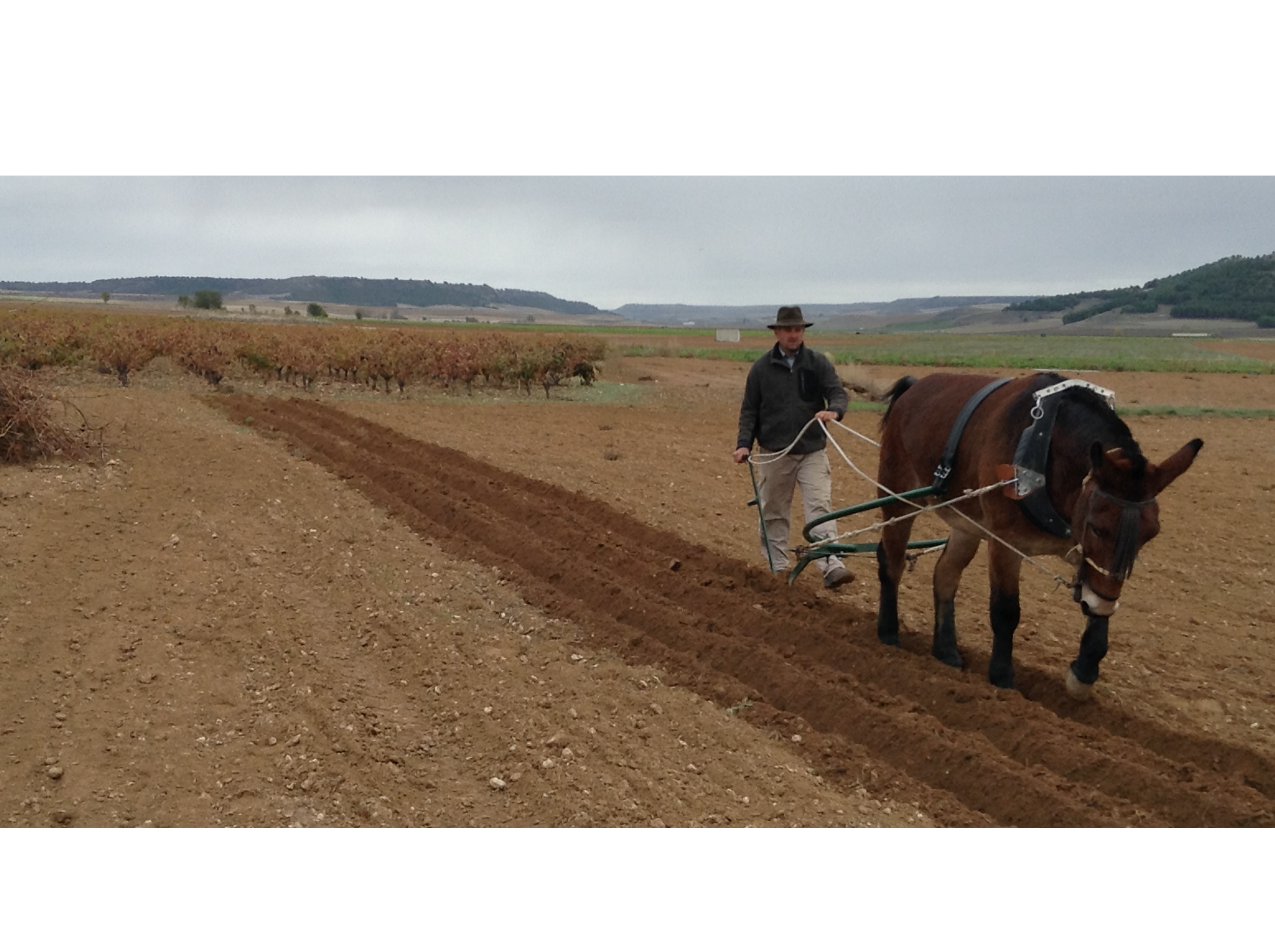 Alfred y tarzan en tudela.