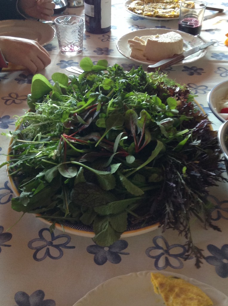 Una excepcional ensalada con el "Mezclum" de Biochousa.