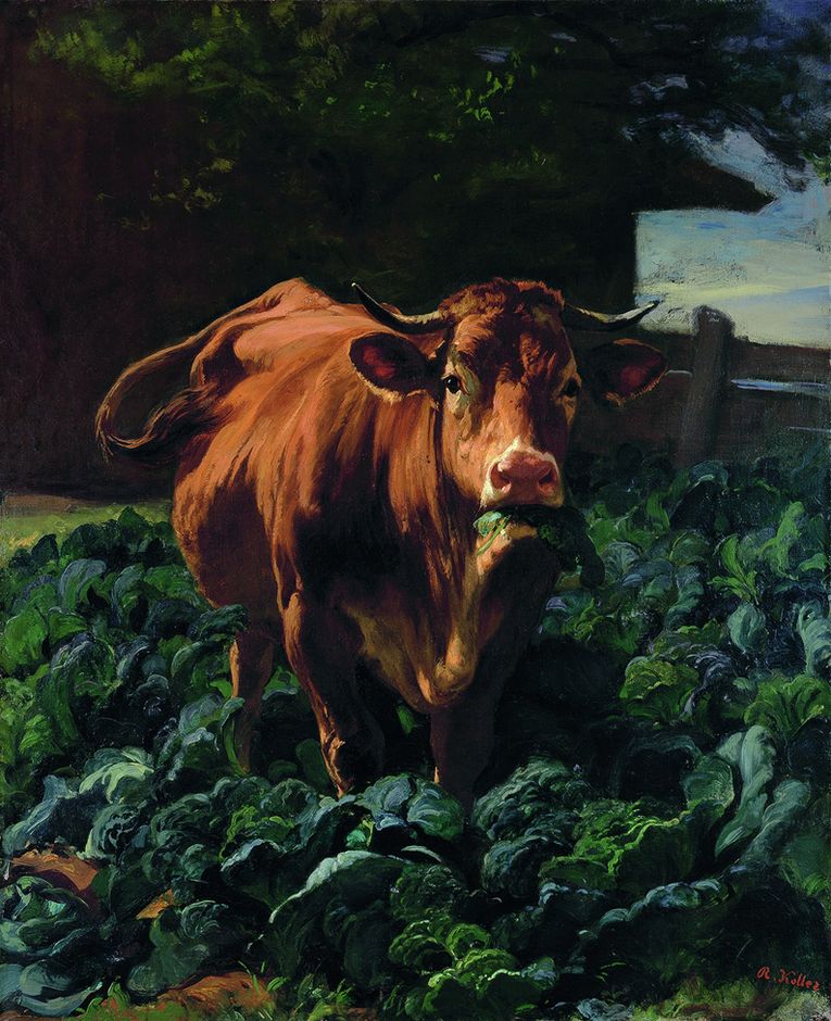 Rudolf Kollner, vaca en un campo de coles